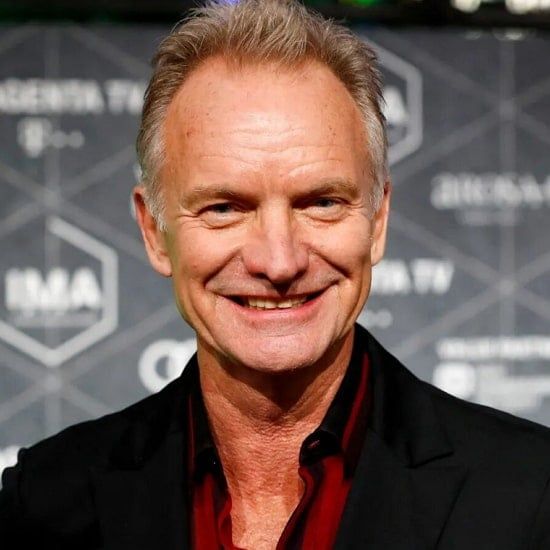 Sting: Das Leben und die Musik des legendären Musikers